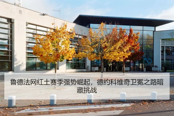 鲁德法网红土赛季强势崛起，德约科维奇卫冕之路暗藏挑战